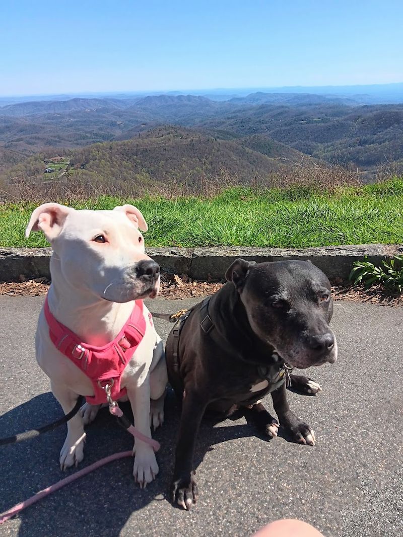Dog Park at Love&rsquo;s Travel Stops - Mebane, NC