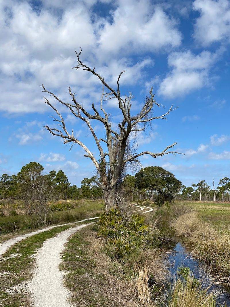 Guana River Trail System (St. Augustine Area)