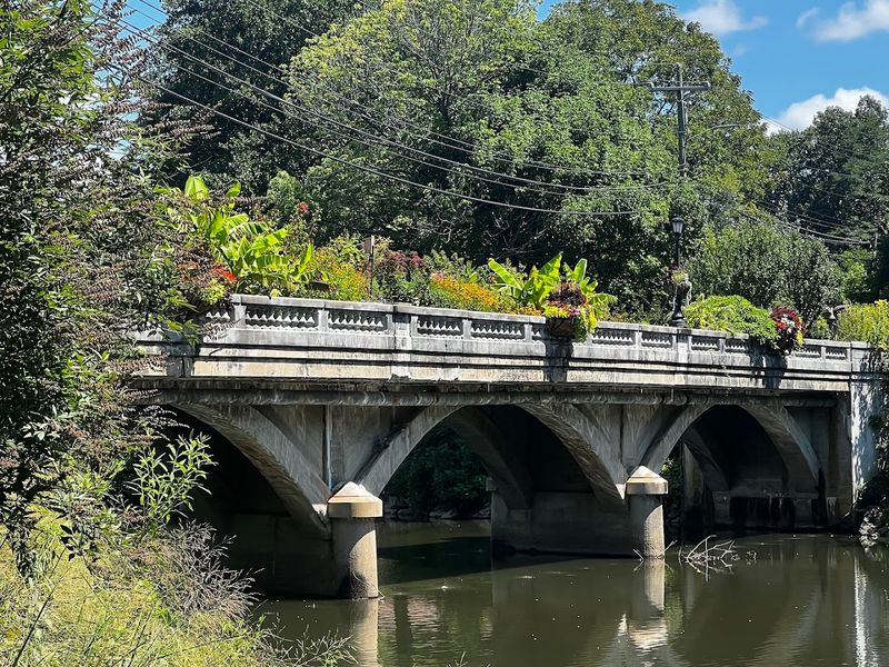 Lake Lure Flowering Bridge & Waterfront