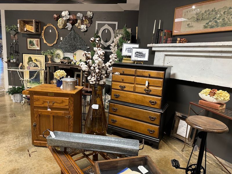 Mid-Century Modern and Retro Standouts