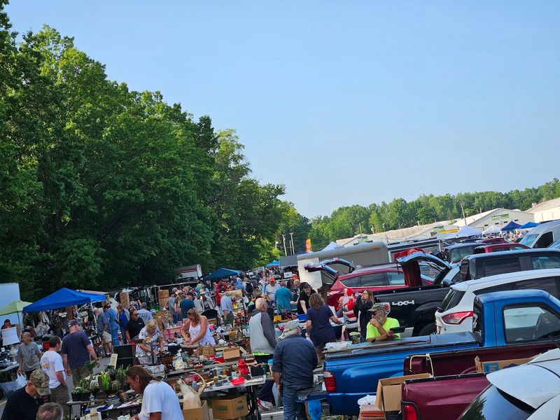 Bargain Deals on Everyday Goods