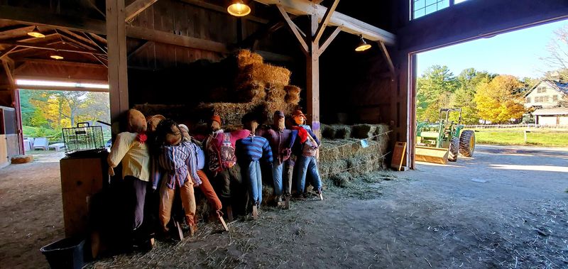 Seasonal Activities and Family Events