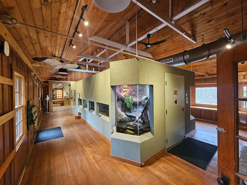 Reptiles, Amphibians, and the Hidden World of the Herpetarium