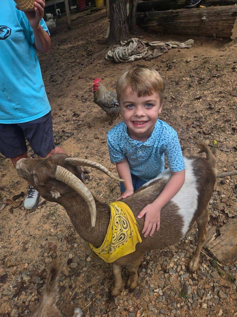 Educational and Therapeutic Value