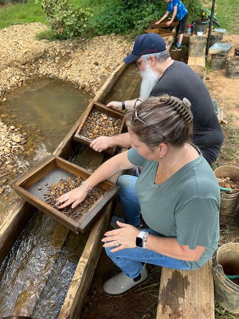 Family Friendly Tips