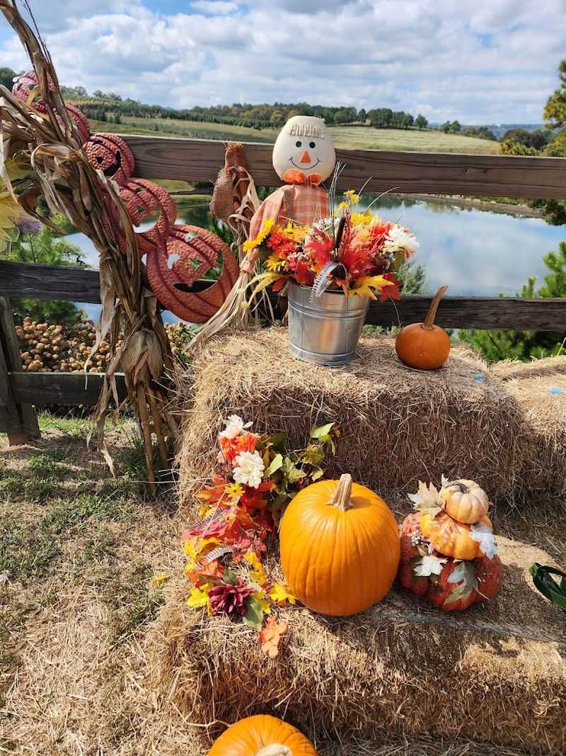 Family-Friendly Activities And Seasonal Events