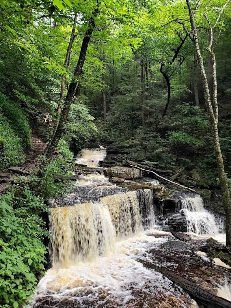 Ricketts Glen Falls Trail