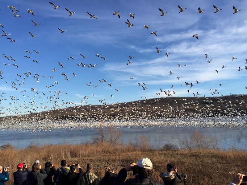 Middle Creek Wildlife Management Area (Lancaster/Lebanon Counties)