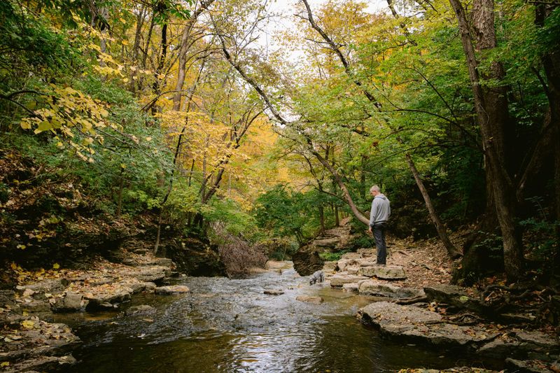 Indian Run Falls, Dublin