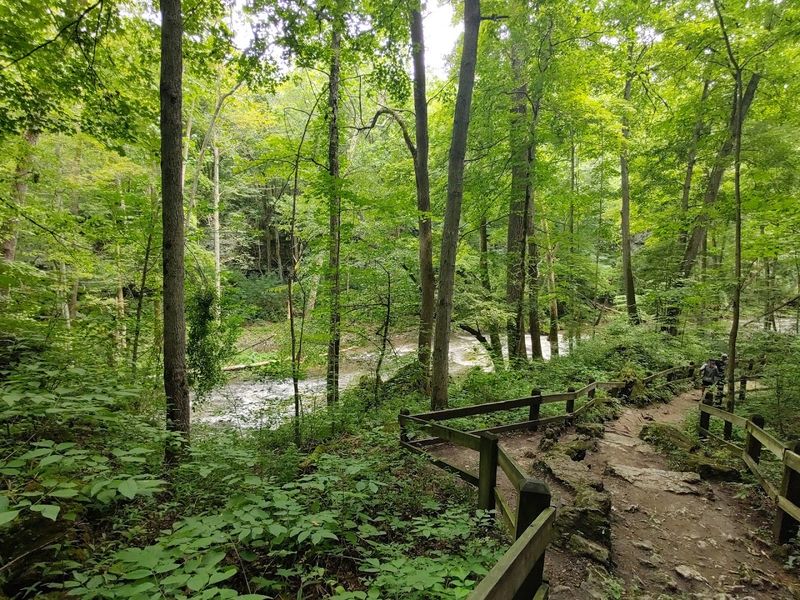 Clifton Gorge State Nature Preserve, Clifton