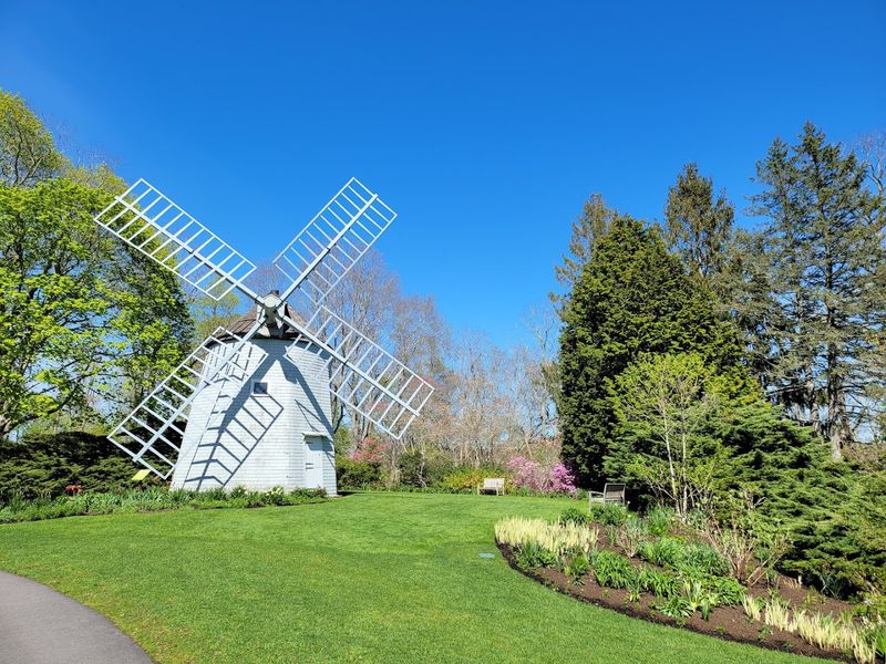 Maze, Labyrinth, and the Old East Mill