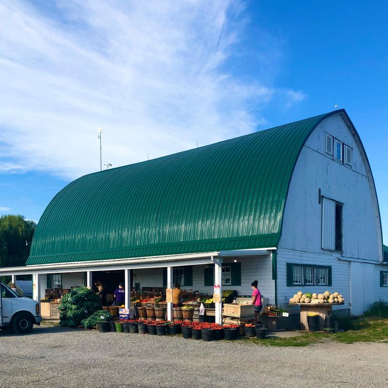 Fancy Farms Market