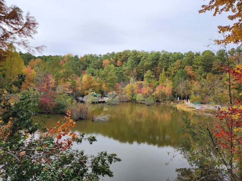 Explore the Wild Boardwalks and Wildlife