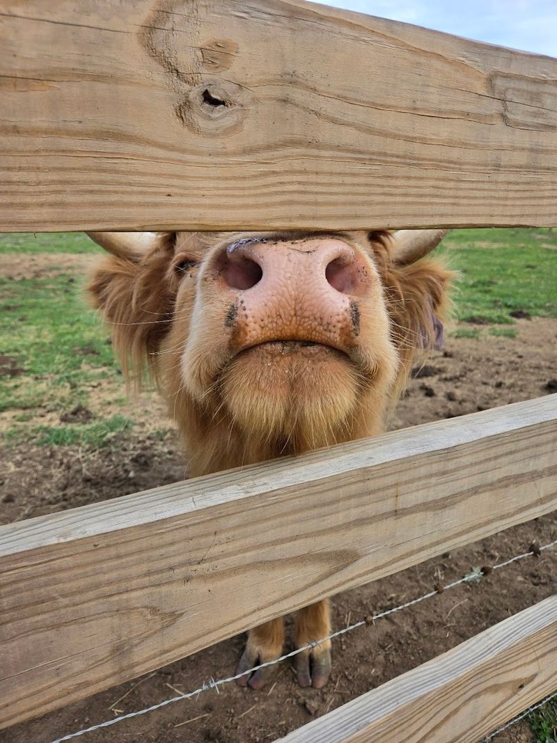 How to Book and Plan Your Visit