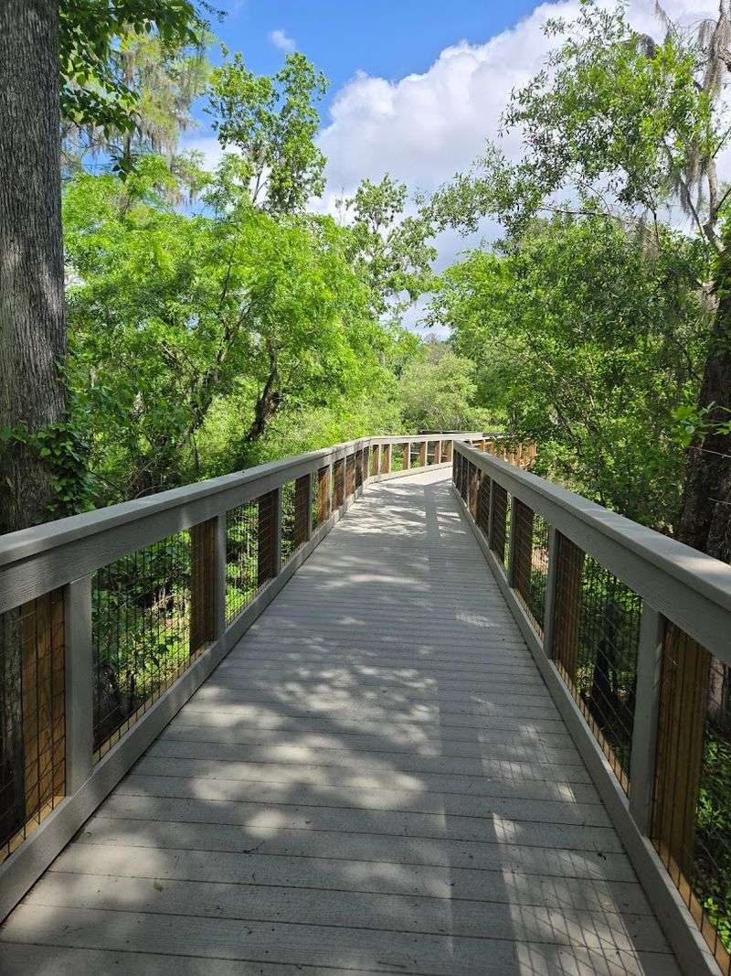 Lettuce Lake Regional Park &mdash; Tampa, FL