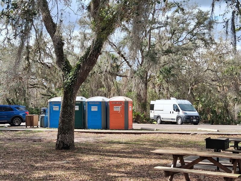 Camping Under a Canopy of Giant Oaks