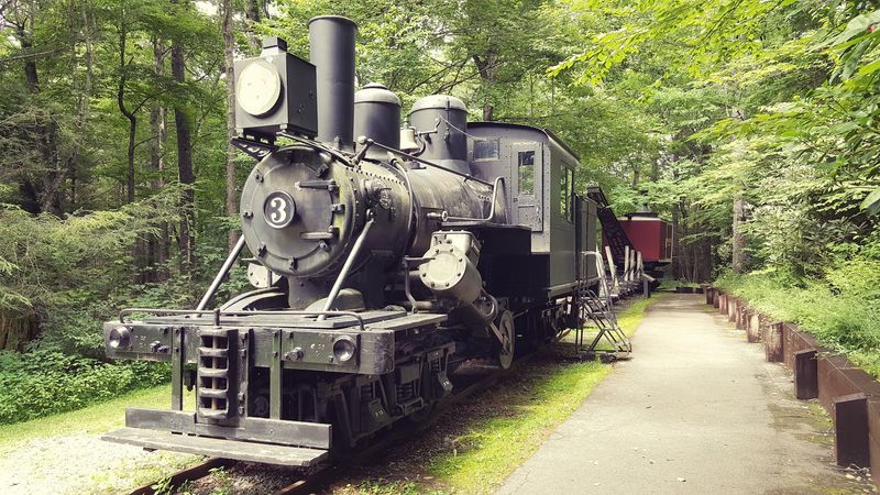 Kids Get More Than A Walk In The Woods