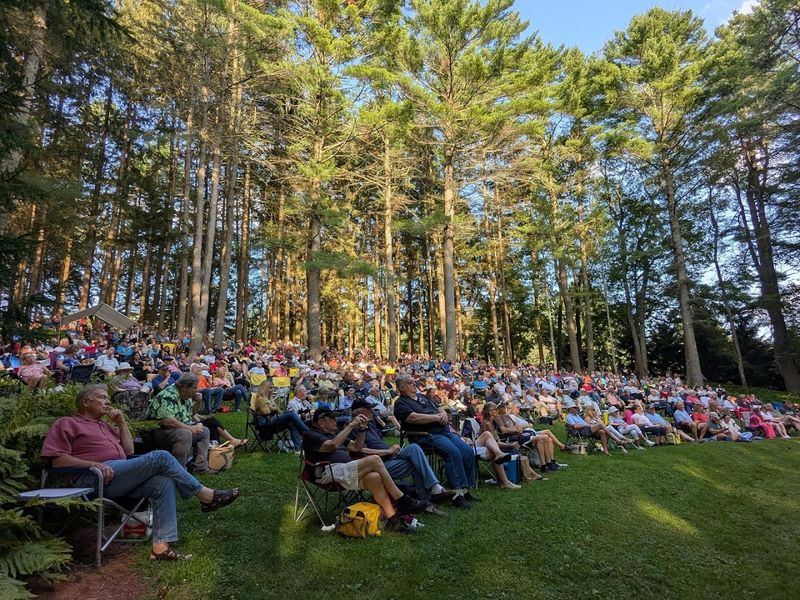 Seasonal Events Like the Wildflower Concert Series