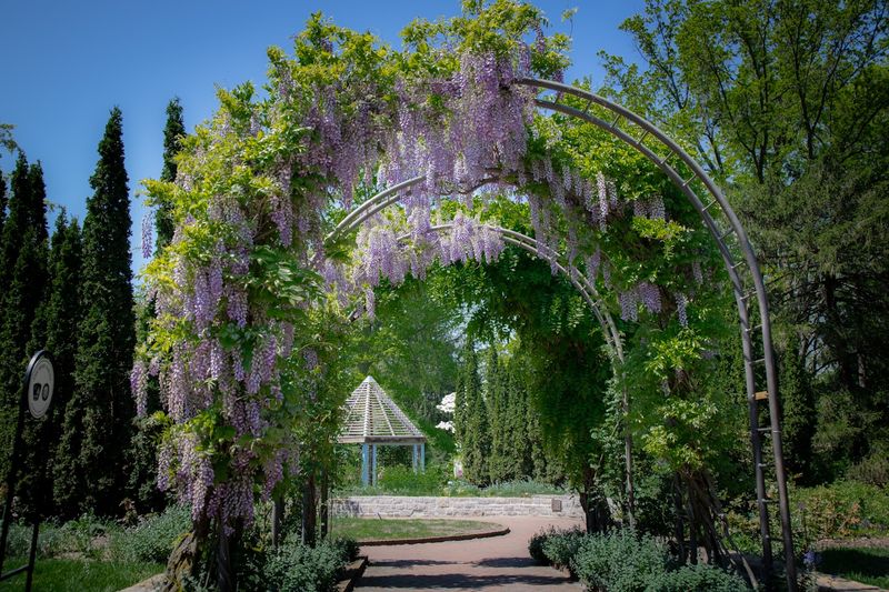 The Sisters' Garden &mdash; Storybook Experience for Children