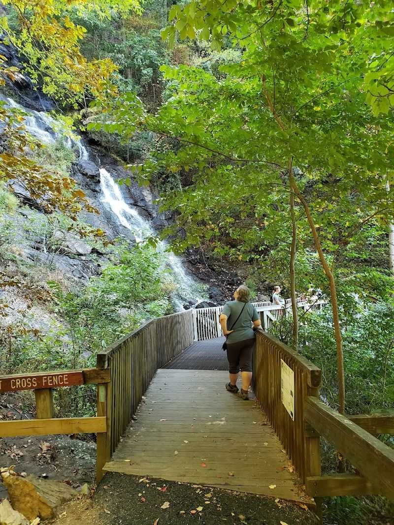 Observation Decks: The Best Seats in the House