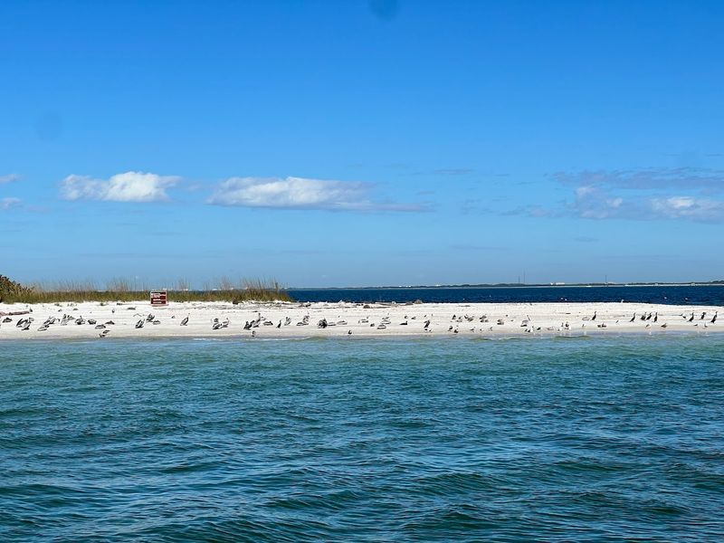Egmont Key National Wildlife Refuge