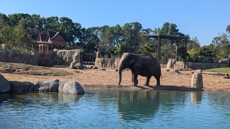 Cincinnati Zoo & Botanical Garden