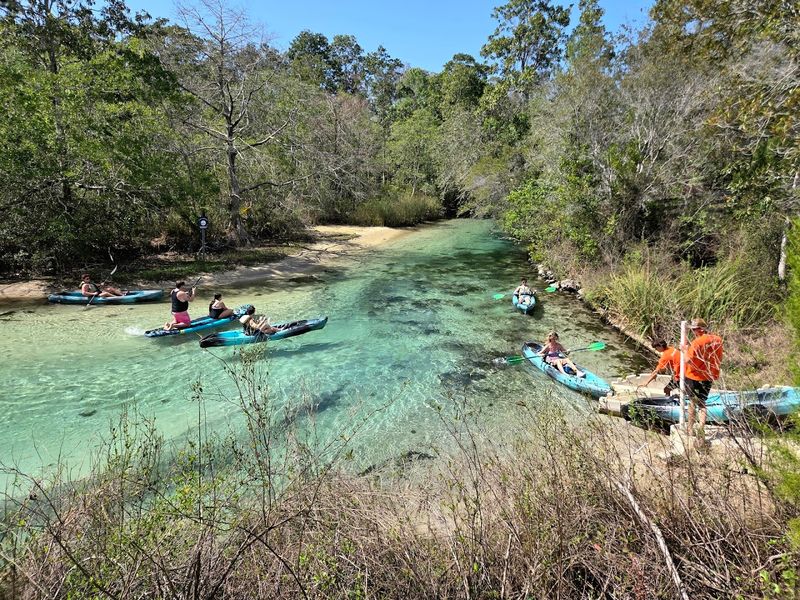 Crystal-Clear Spring-Fed Rivers for Kayaking