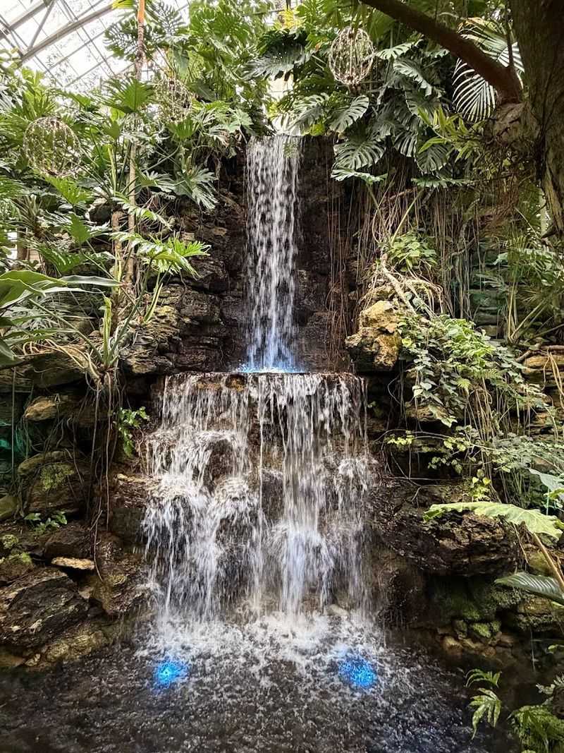 The Soaring Palm House at the Center
