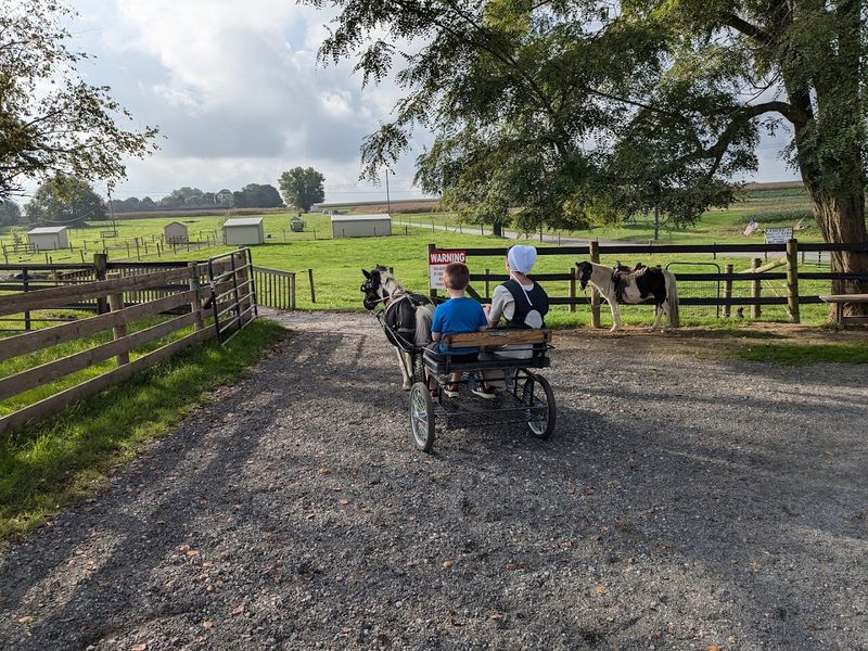 A Glimpse Into Amish Craftsmanship