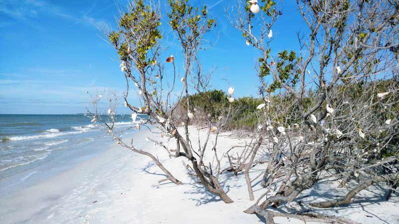 Caladesi Island State Park