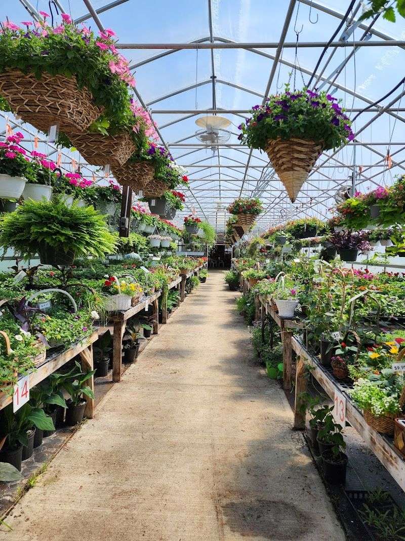 The Bustling Greenhouse and Stunning Flower Selection