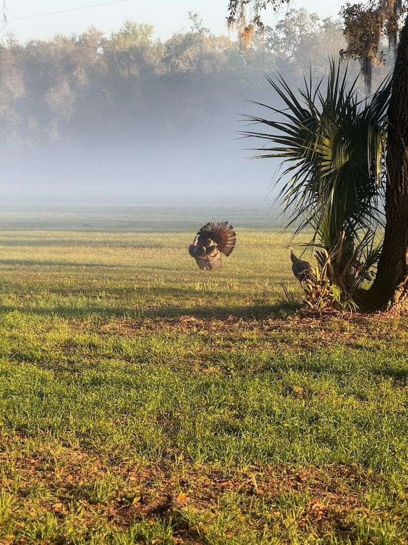 Trails Rich With Wildlife And Natural Beauty