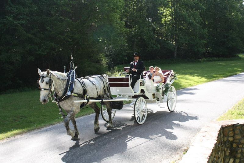 Professional Horse Facilities And Riding Trails