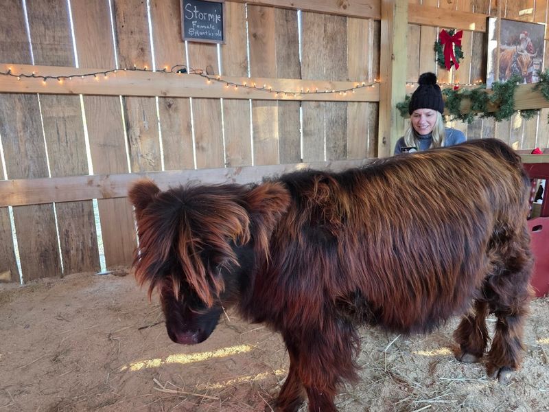 Animals You Will Meet