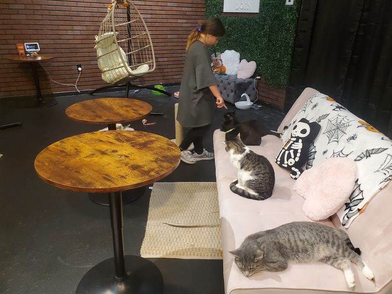 Rules, Etiquette, and What to Expect