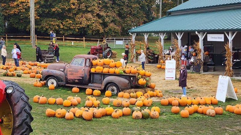 Who Ends Up Loving It Most