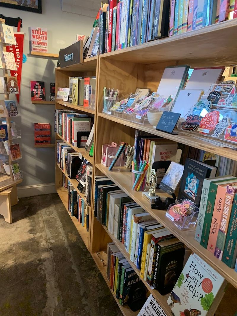 The Rare Book Collection: What Makes a Book Rare and Why It Matters