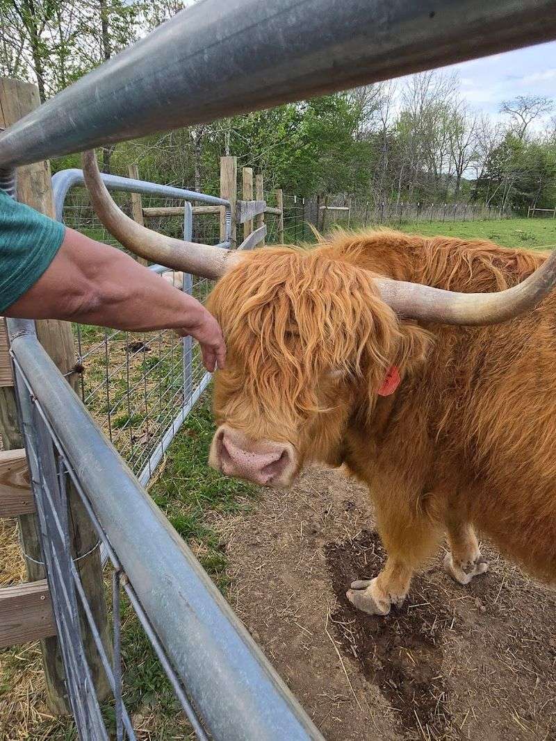 What the Guided Tour Really Feels Like