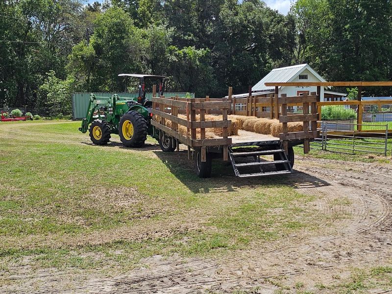 The Hayride That Slows the Whole Day Down