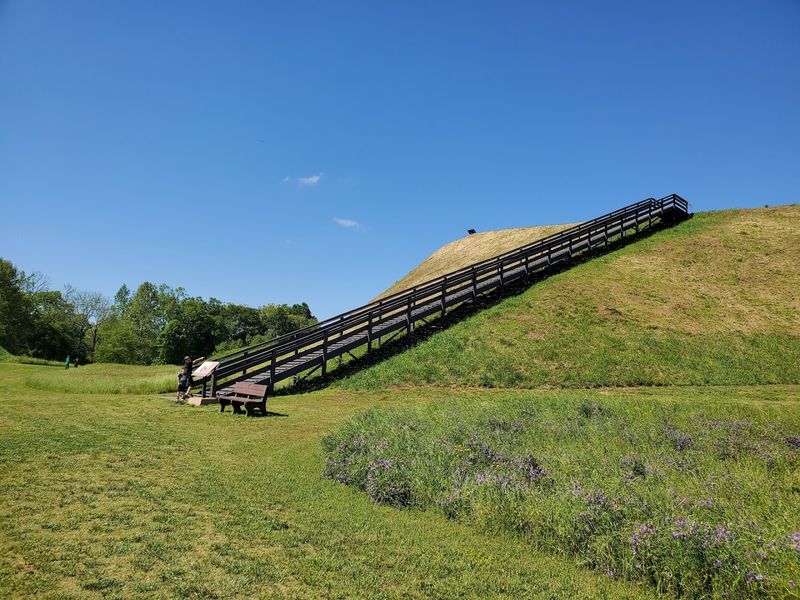 Etowah Indian Mounds State Historic Site