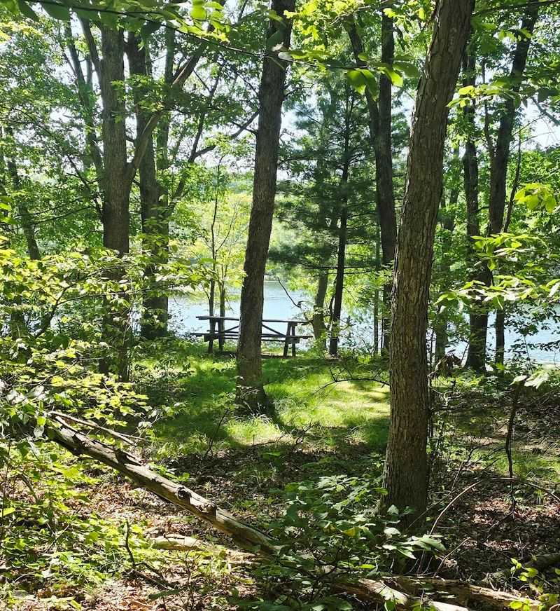 Nescopeck State Park (Luzerne County)