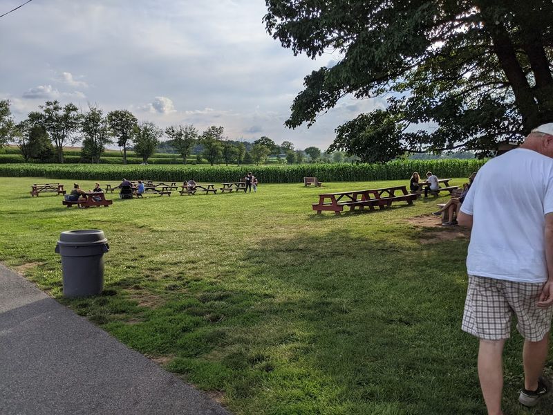 Cozy, Casual, and Family-Friendly Atmosphere