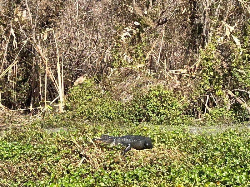 Jackson Blue Spring Recreation Area