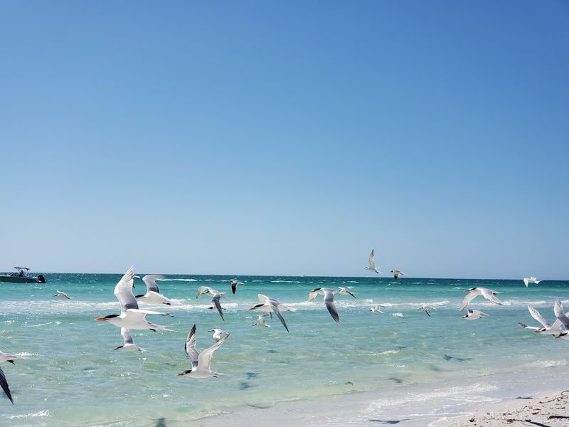 A Haven for Birdwatchers