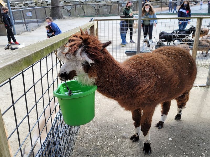 Practical Tips for Planning Your Visit