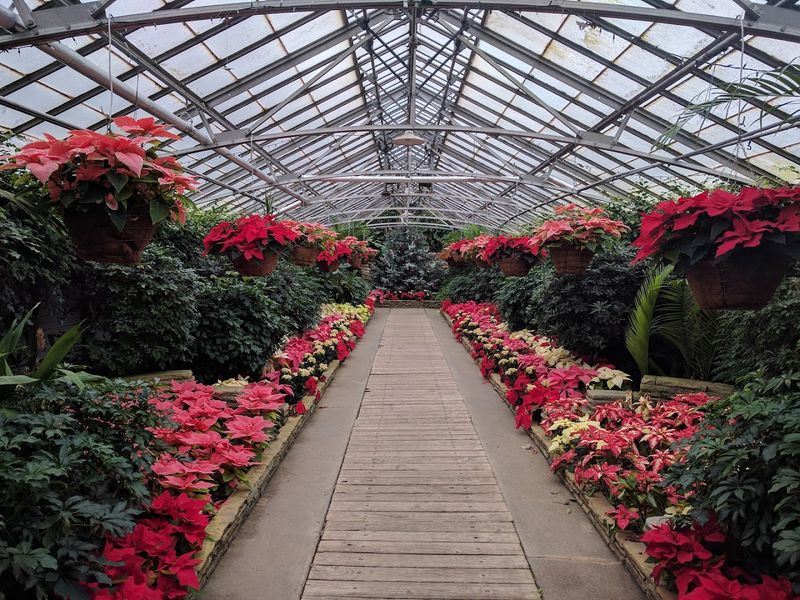 Walking The Full Loop Without Rushing