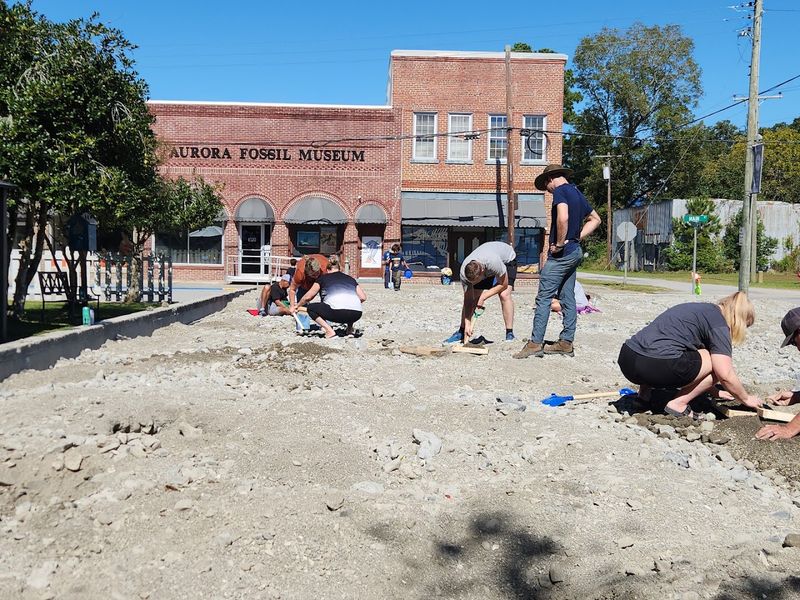 A Fossil Festival That Draws Crowds