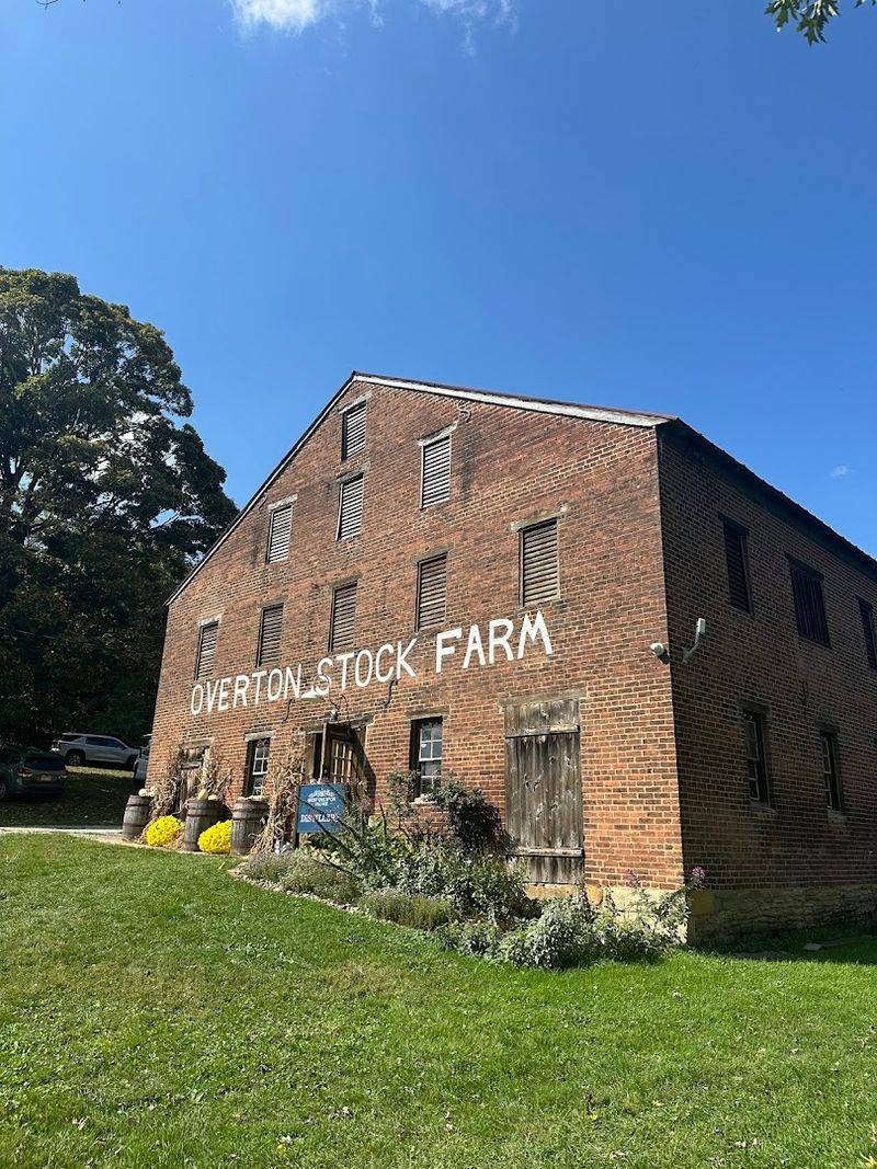 Historic Architecture and Original Buildings