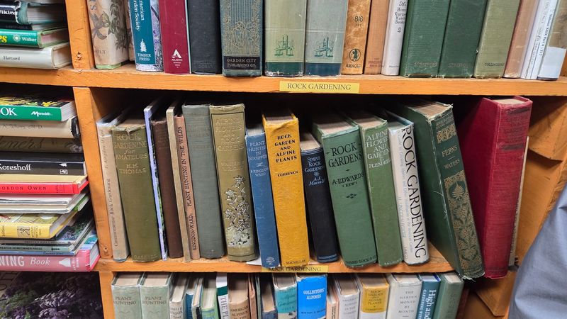 Rare Finds and Unexpected First Editions