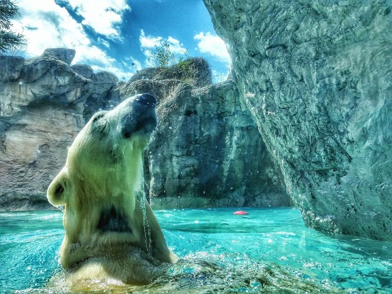 Events And Keeper Talks